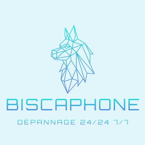 Logo BiscaPhone